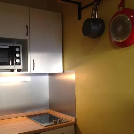 - Vue Mont Blanc שאמוני